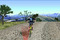 จักรยานแข่ง-2
